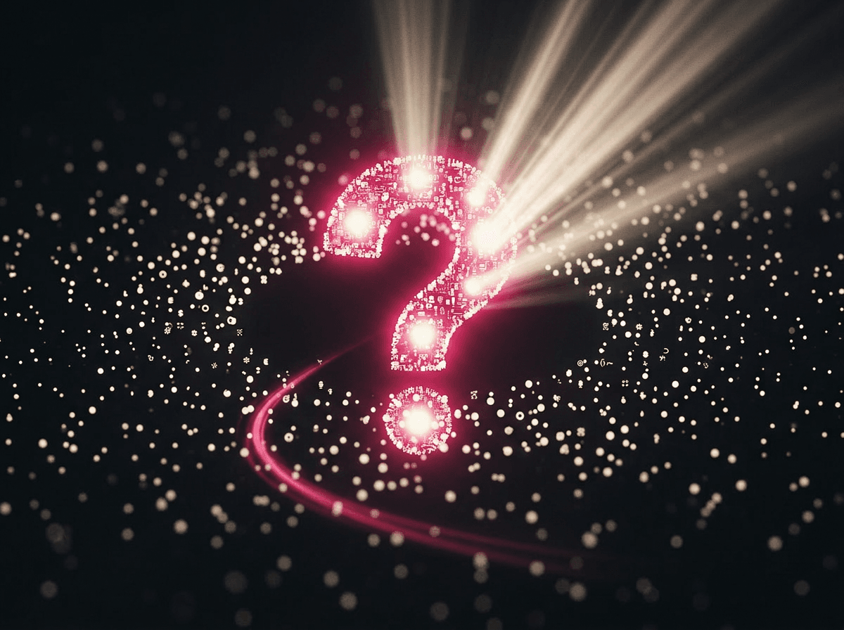 Questions to Ask Before Hiring a Web Developer — Pink Frog Studio