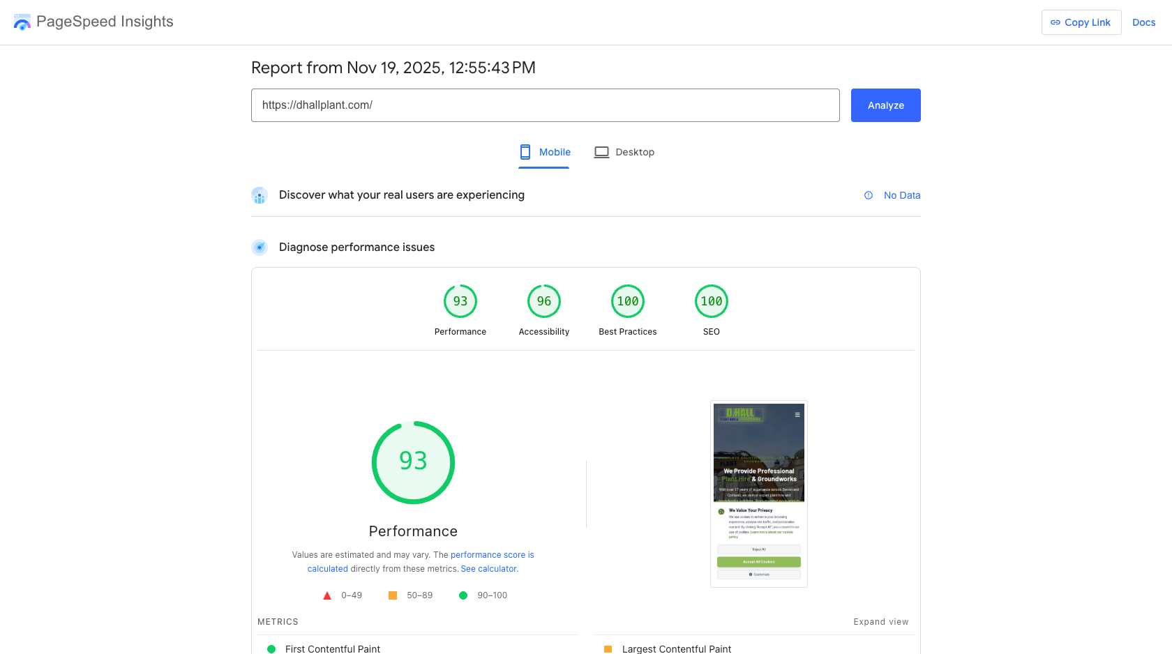 D Hall Plant Hire new website PageSpeed score of 93